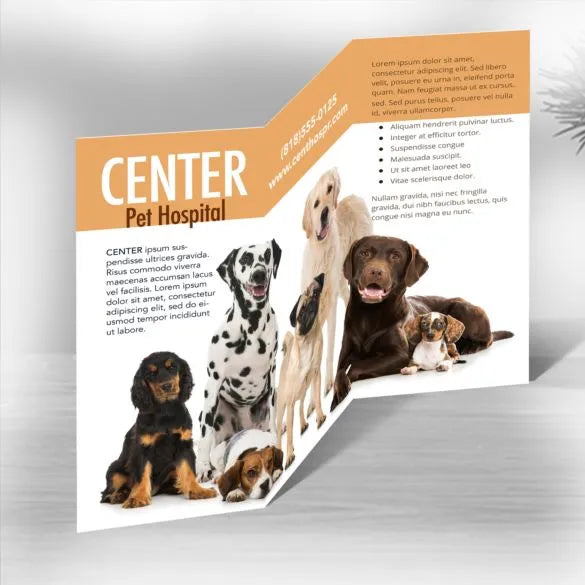 Three Fold Brochures